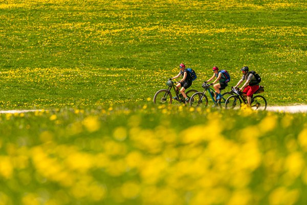 Biker auf der Alm